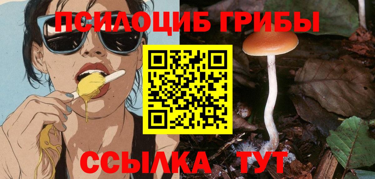 Галлюциногенные грибы Cubensis  Вход с VPN  где купить наркоту  Красный Сулин 